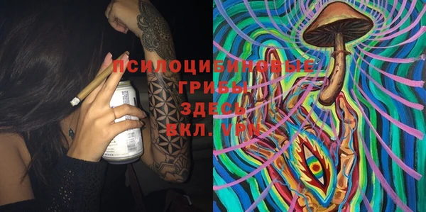 прущая мука Аркадак
