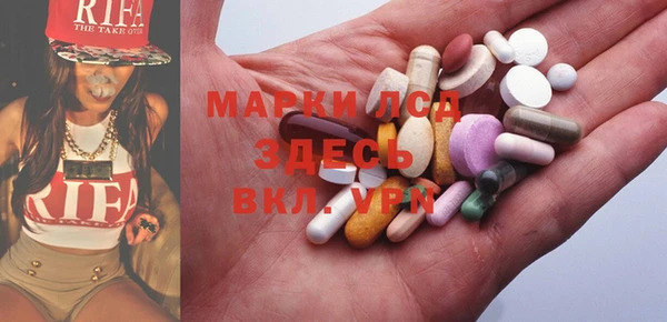 ECSTASY Алзамай