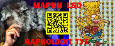 СК Донецк
