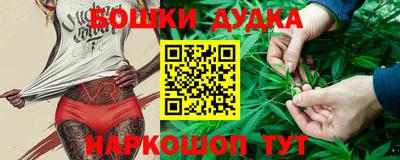 СК Донецк