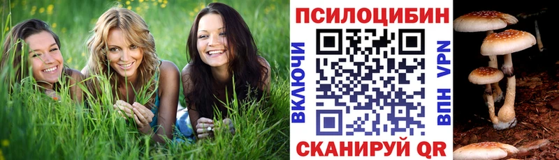 ссылка на мегу сайт  сколько стоит  Сатка  Галлюциногенные грибы MAGIC MUSHROOMS 