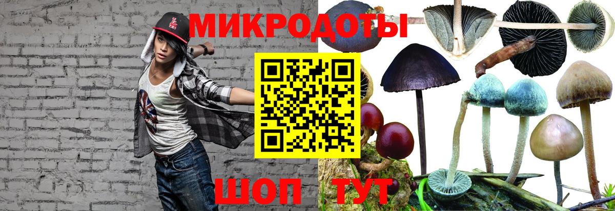 Галлюциногенные грибы Cubensis  Галлюциногенные грибы GOLDEN TEACHER  Сатка  Вход с VPN 